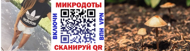 Псилоцибиновые грибы ЛСД  Купить где  Североуральск 